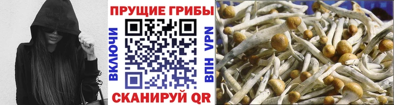 Галлюциногенные грибы ЛСД  Черемхово 